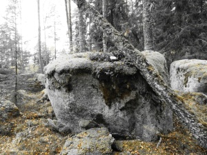 N Ölbo - on top of a rock in the forest